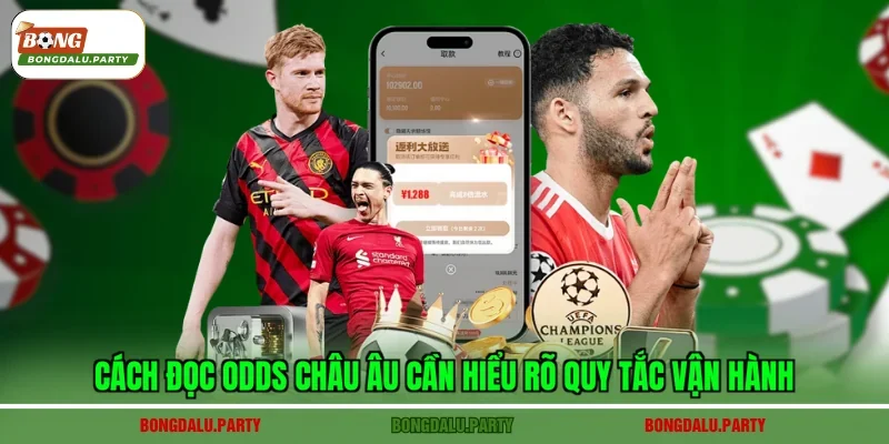 Cách đọc odds châu Âu cần hiểu rõ quy tắc vận hành